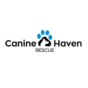 canine haven